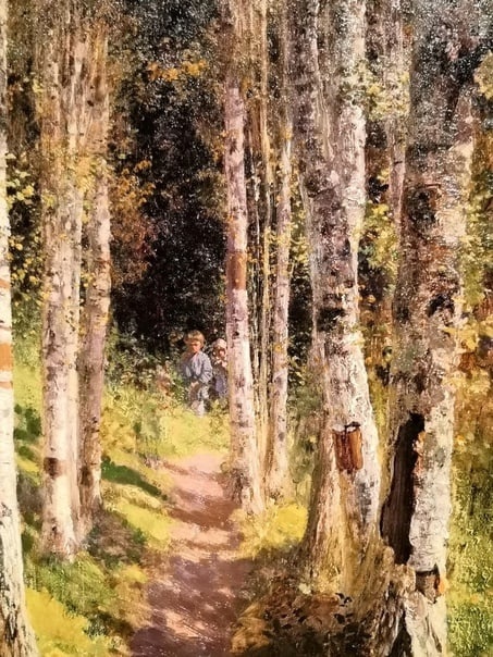 "Березовая аллея" 1880г.