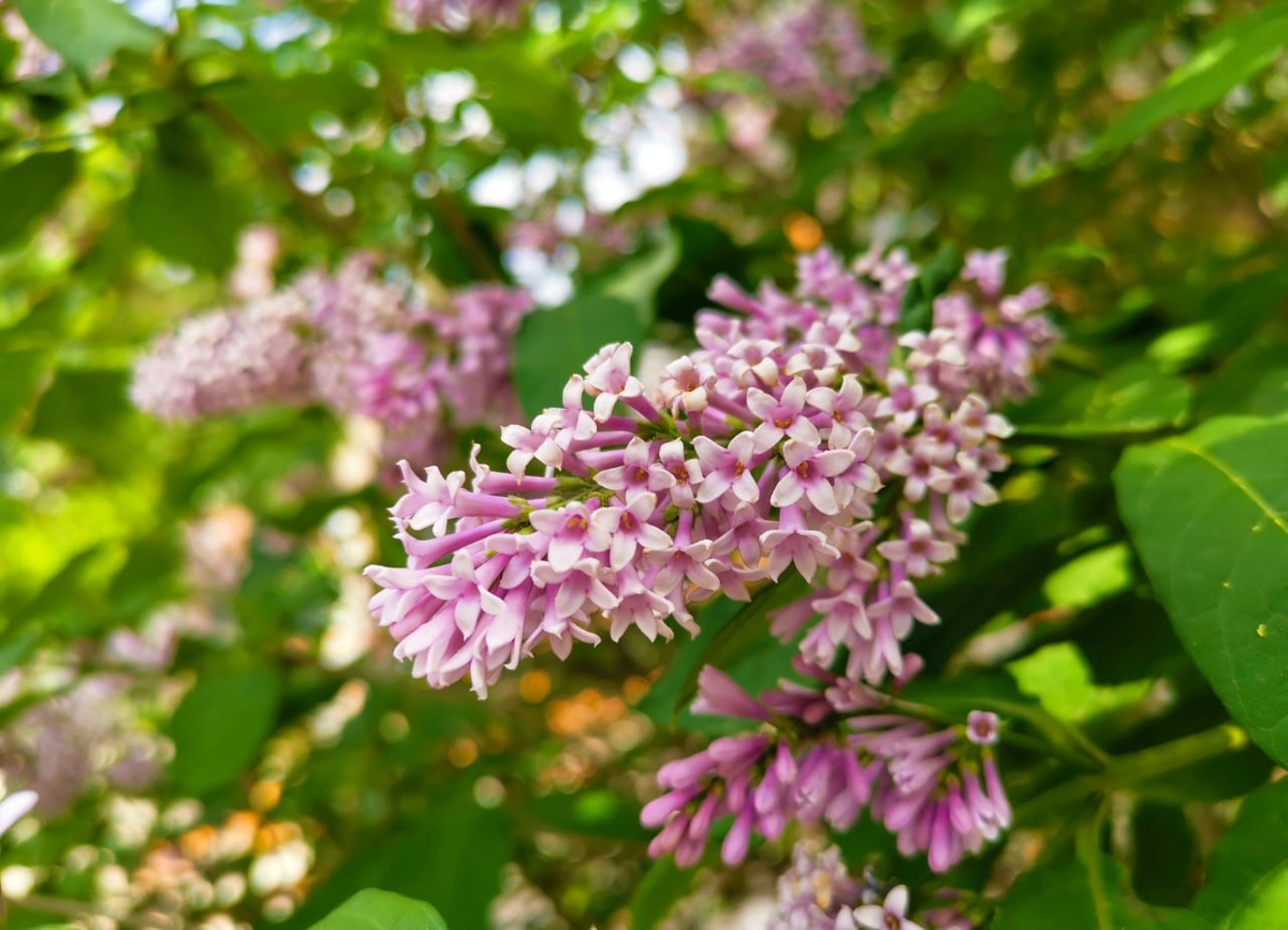    © Константин Долгановский