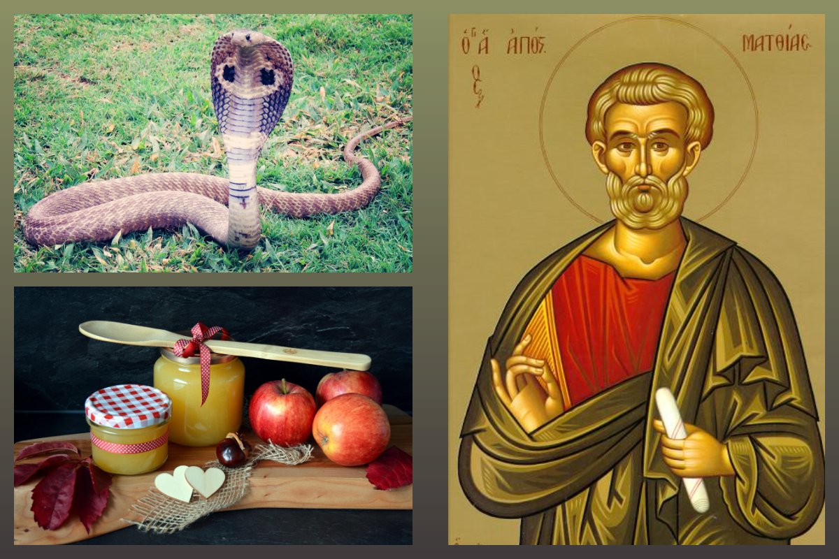 Апостол Матфий, змея/мёд/pixabay.com