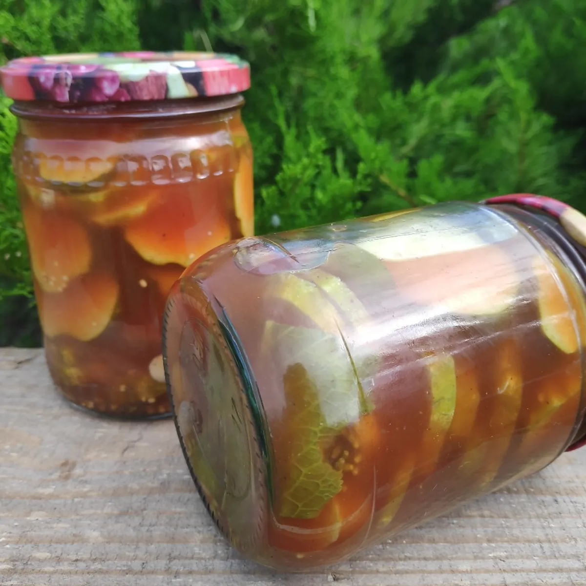 Автор Элла Дементьева 