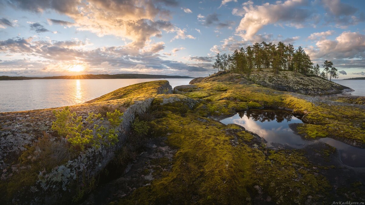 "Ладожские мхи". Фото Арсения Кашкарова
