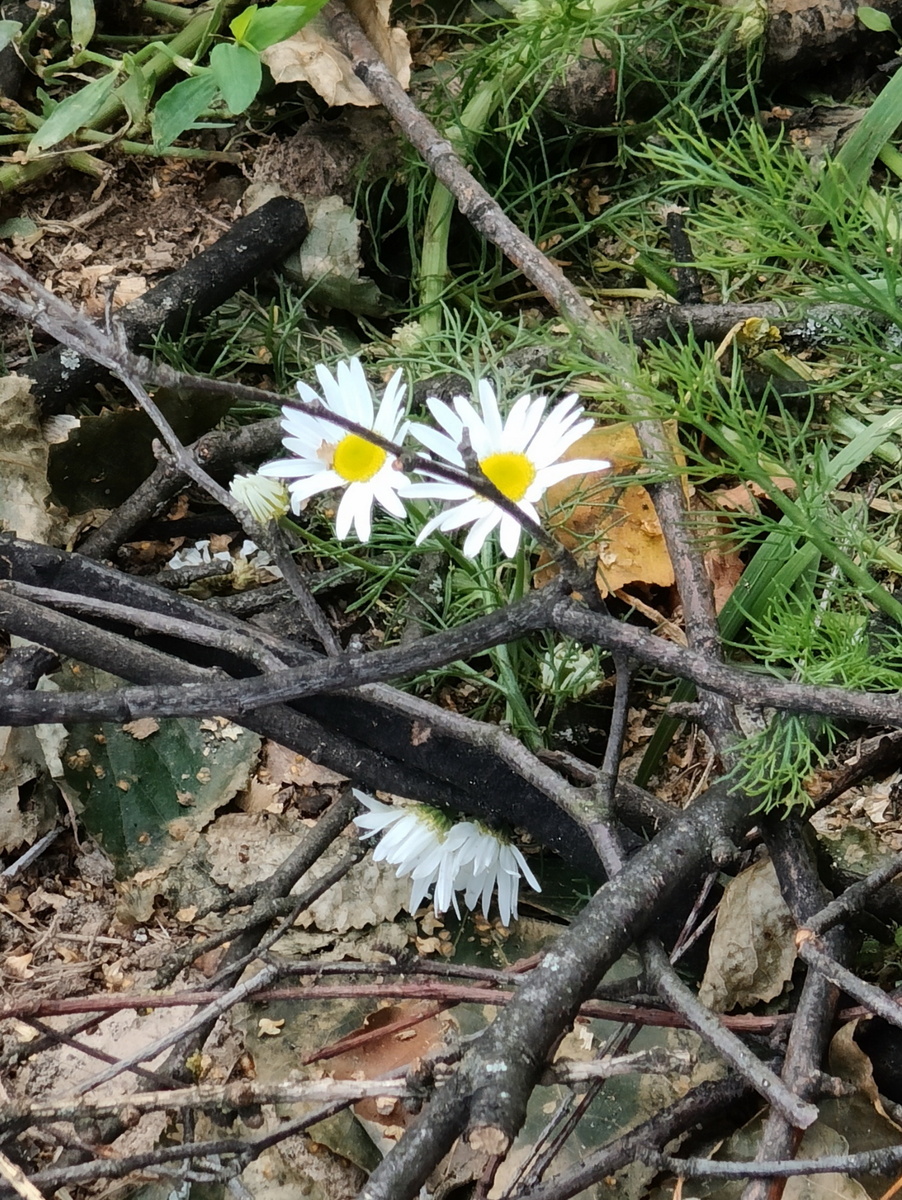 На пороге осень