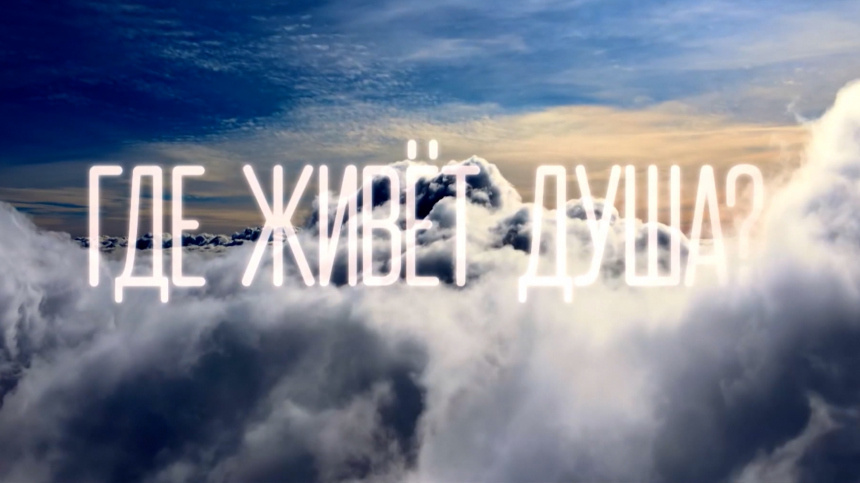    Фото: 5-tv.ru