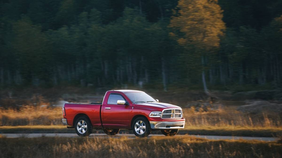    Фото: Shutterstock