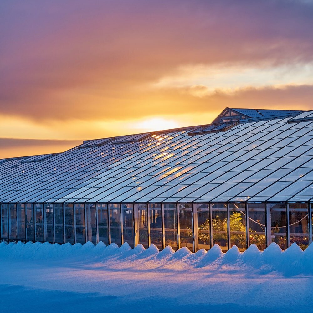 Зимняя теплица на геотермальном отоплении: горячая вода из скважин циркулирует по трубам в грунте и по воздуху Сугробы у стен показывают плавное таяние снега от стабильного тепла без перегрева.
