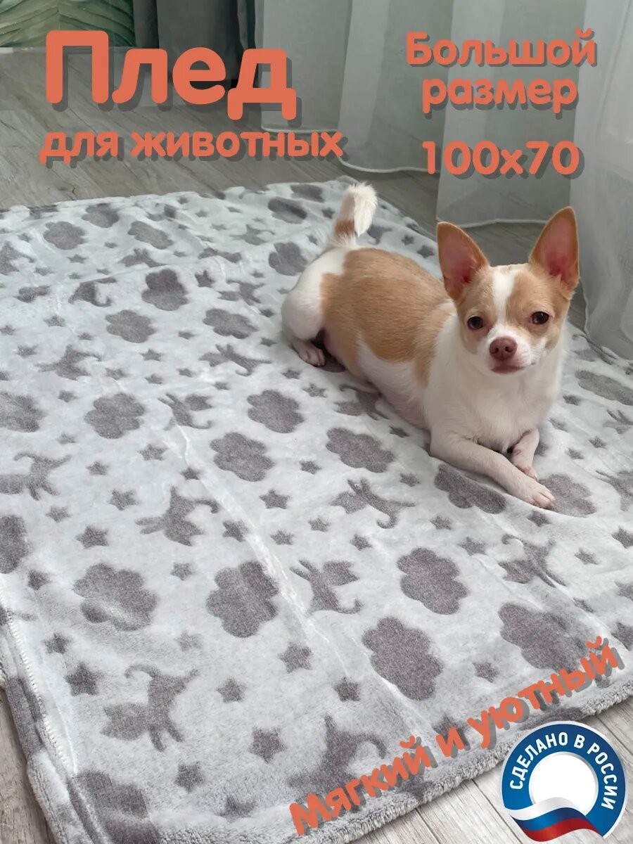 WB арт. 420343771