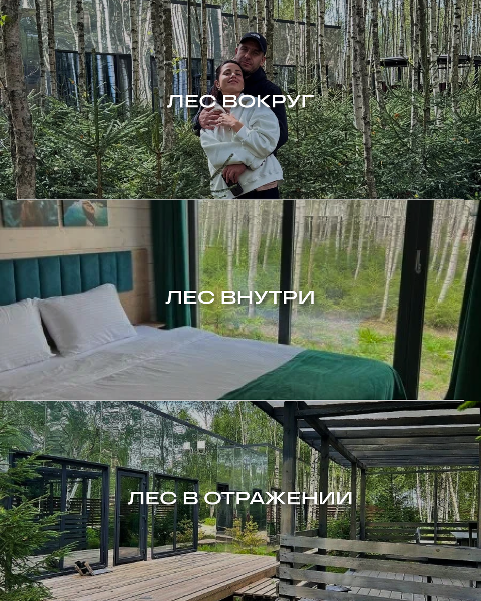 Глэмпинг «Мы дома — Зеркальный лес» / Naturalist.Travel