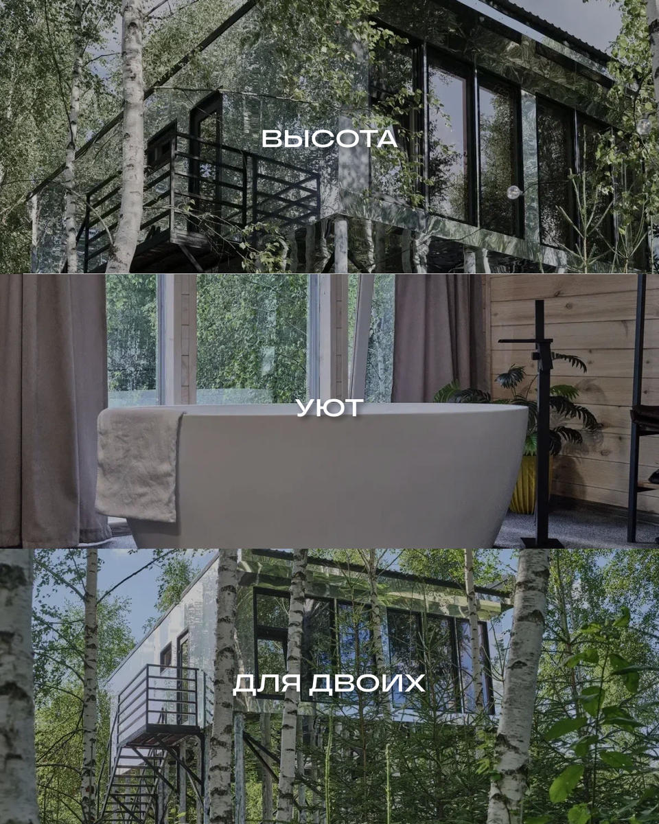 Глэмпинг «Мы дома — Зеркальный лес» / Naturalist.Travel