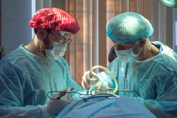     Olga Guryanova/Unsplash