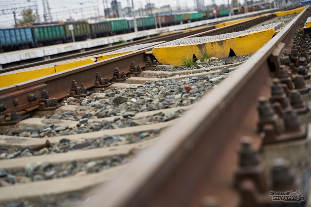    Фото Лидия Аникина © ИА «Уральский меридиан»