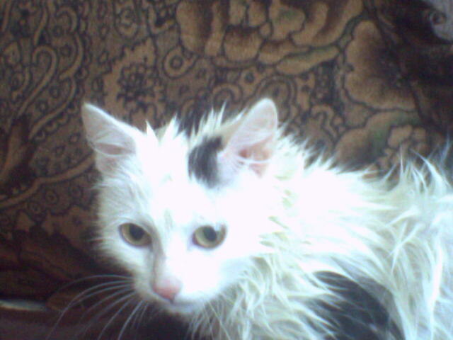 Из семейного архива.