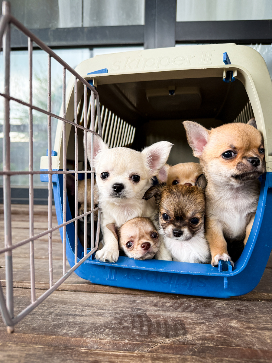 Учимся с детства