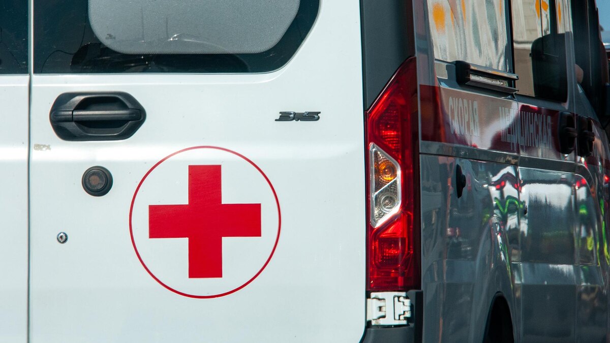    Фото: Svetlana Vozmilova/globallookpress.com