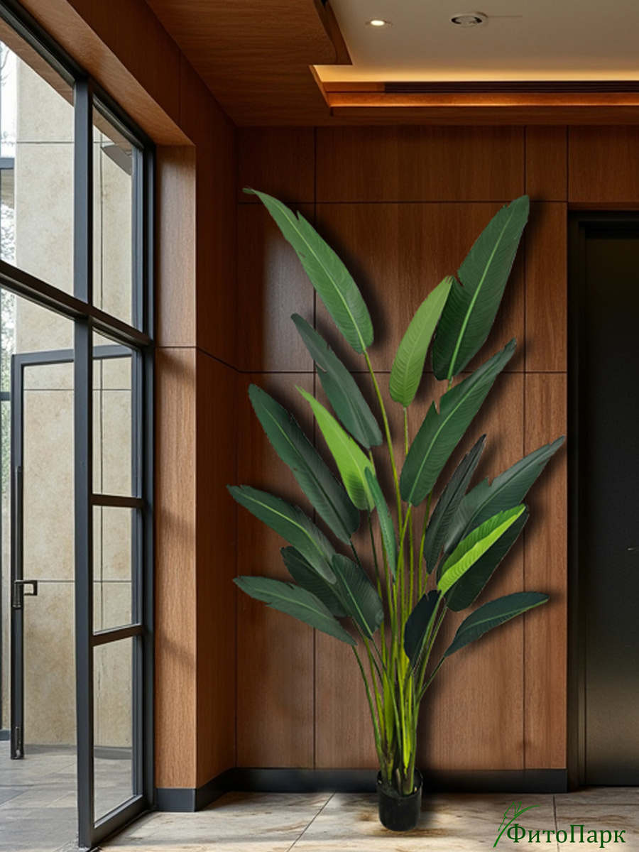 Искусственная стрелиция Николая в холле