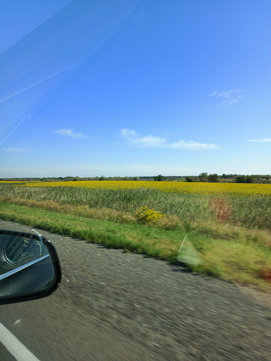 Пейзажи Волгоградской области