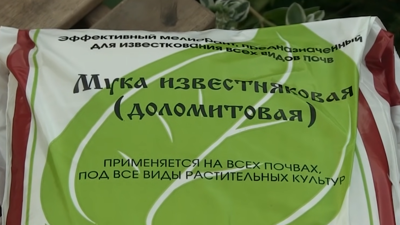 Экономия очевидна - доломитовая мука в 6-7 раз дешевле золы