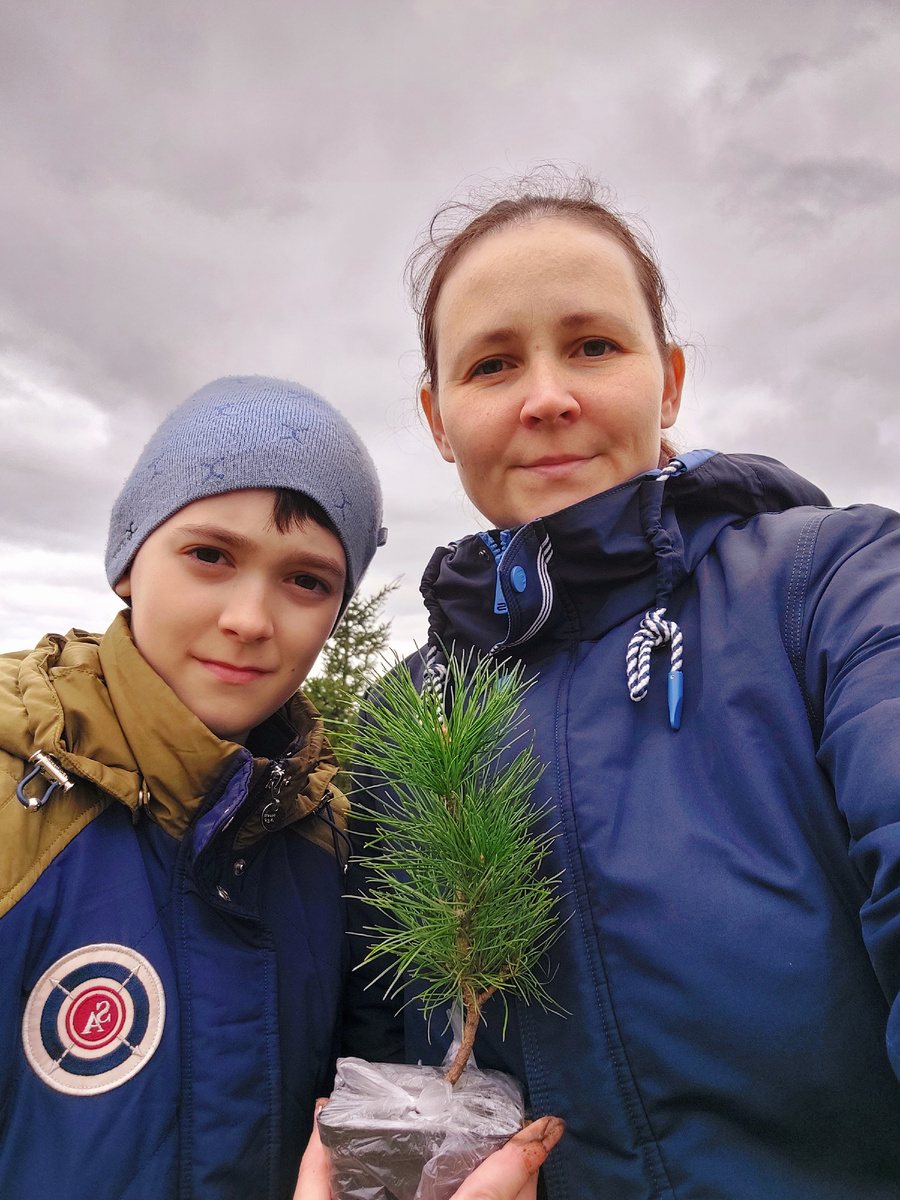 2022 год. Мы сажаем кедр на нашем участке. Фото с другого канала "Хозяйка поместья"