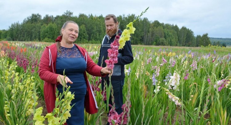    Фото: Правительство Ивановской области