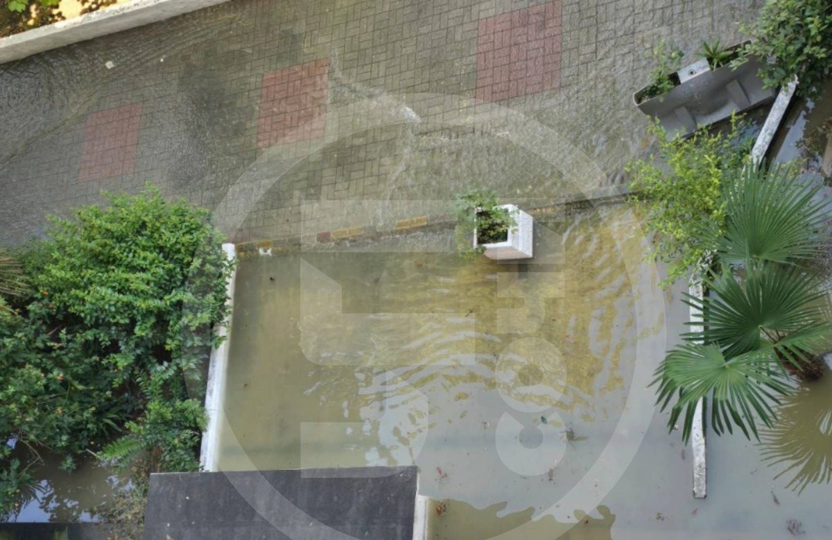    Фото: тг-канал «ЧП Сочи»