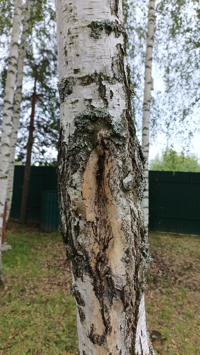 Фото из личного архива. 