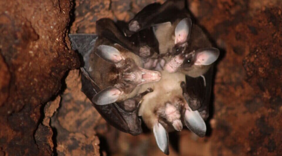   Marisa Tietge et al. / PLoS One, 2025