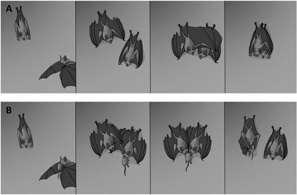   Marisa Tietge et al. / PLoS One, 2025