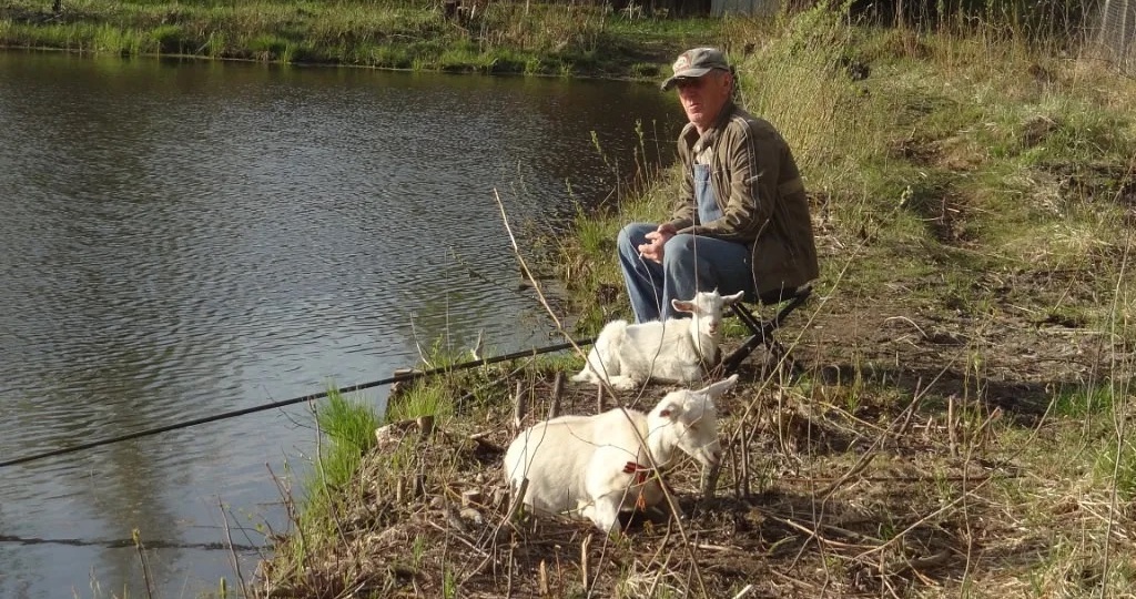 Как всё это было