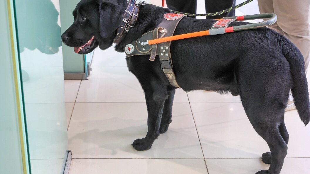    Shatokhina Natalia/news.ru/Globallookpress