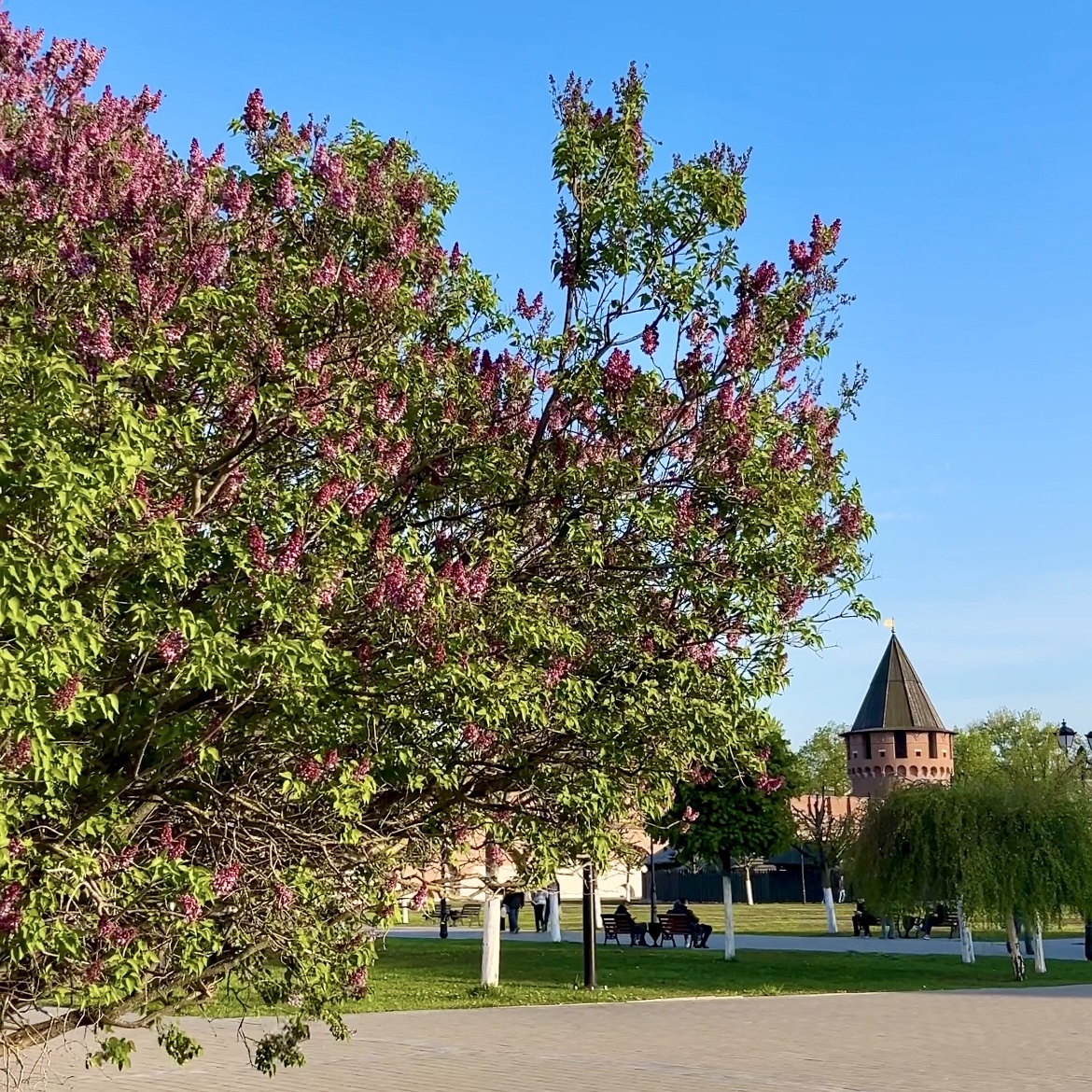 Тульский Кремль.
