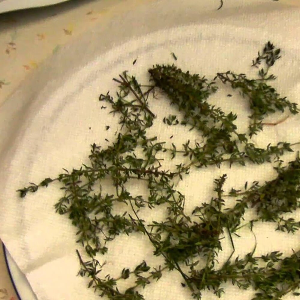 Тимьян разложен в один слой на бумажном полотенце - без наползания веточек, чтобы не "запарить". Сушу импульсами по 20-30 секунд на средней мощности, между подходами приоткрываю дверцу и переворачиваю, даю минуту "дойти". Толстые пучки разбираю: веточка не толще 1-1,5 см.