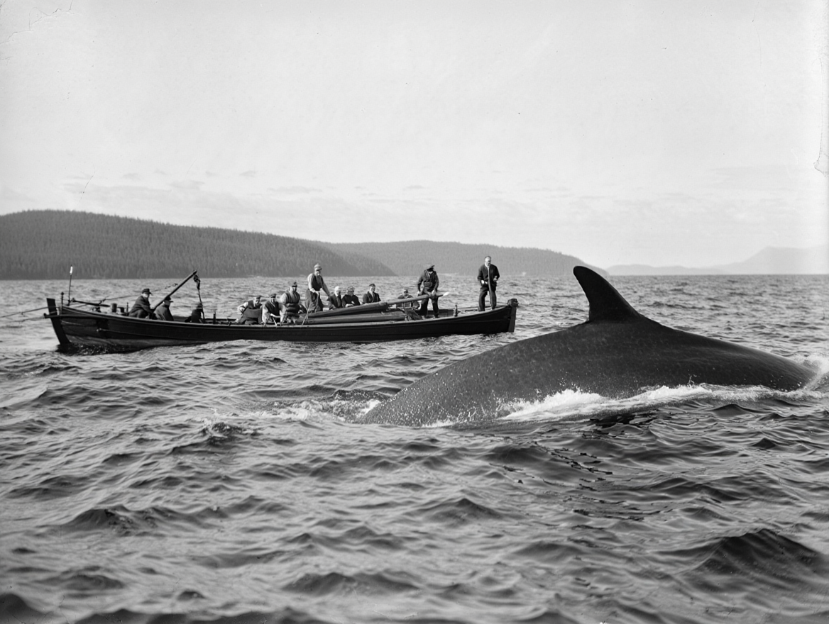 Изображение сгенерировано при помощи ИИ