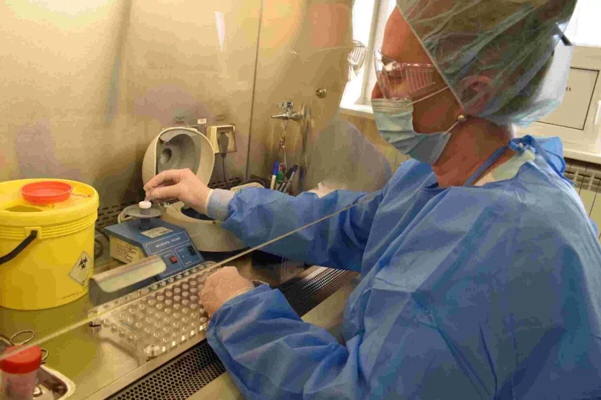    В Тюменской области два кафе работали с сырьем без документов