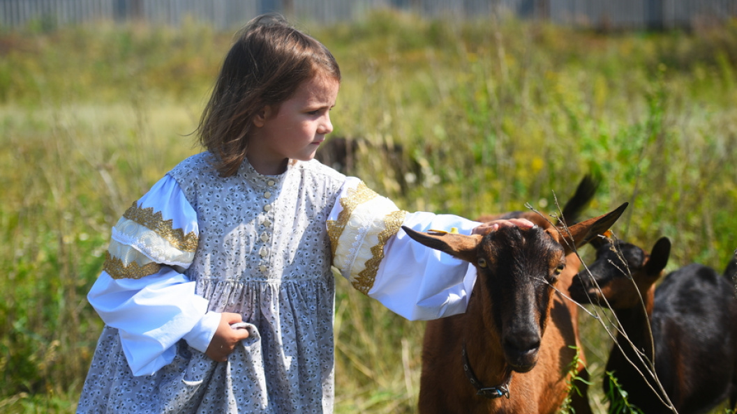    Фото: Царьград