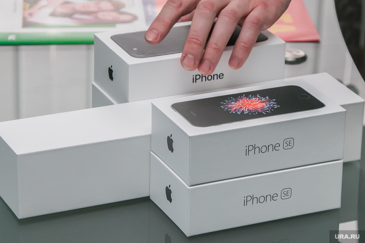 Фото: Игорь Меркулов © URA.RU