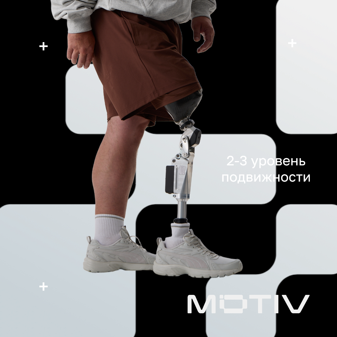 Уровень подвижности по системе Mobis