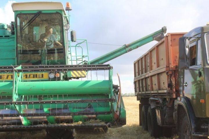 Передовики жатвы в Дрожжановском районе РТ
