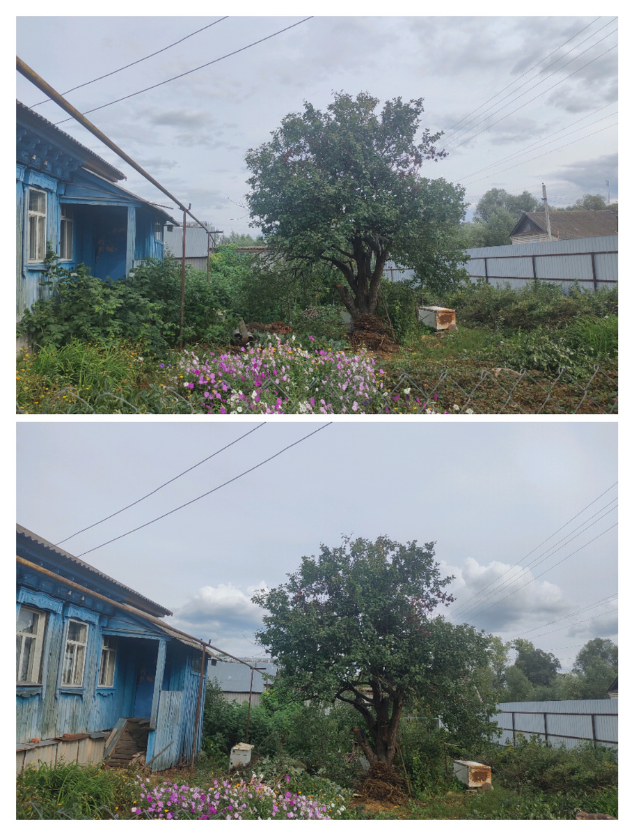 Найди 5 отличий)