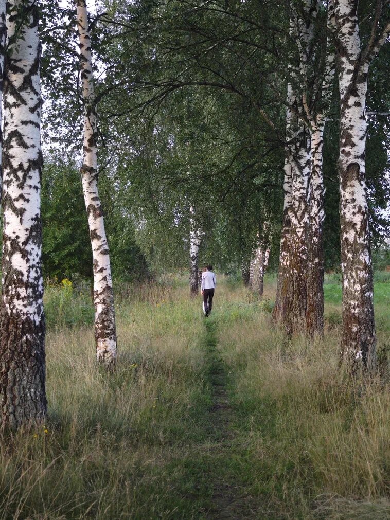 Мы с Джеки идем по березовой аллее