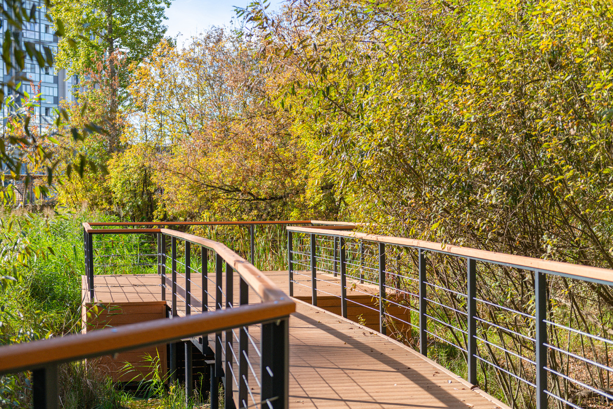 Смотровая площадка. Фото: Про Мой Район 