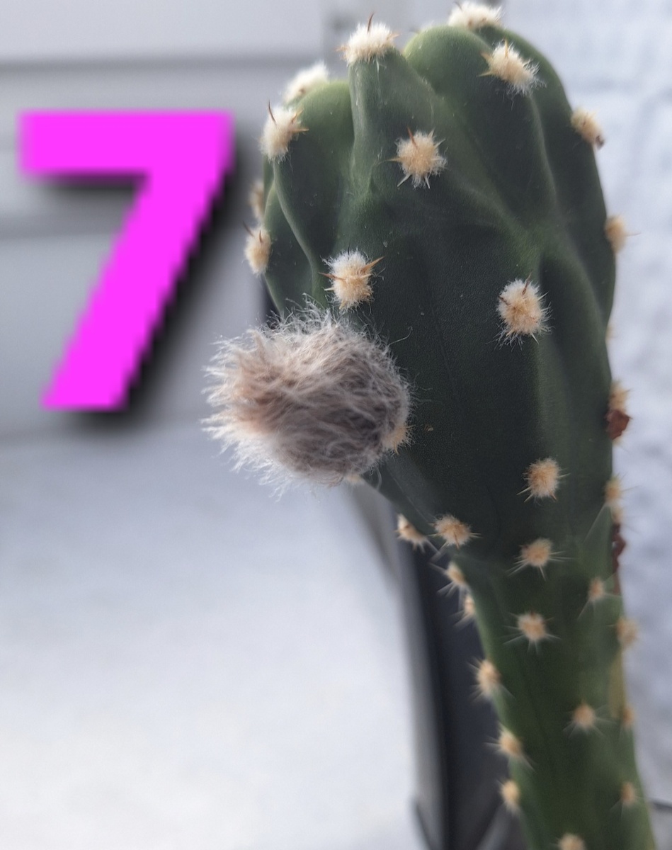 Фотоколлаж - собственность автора канала.