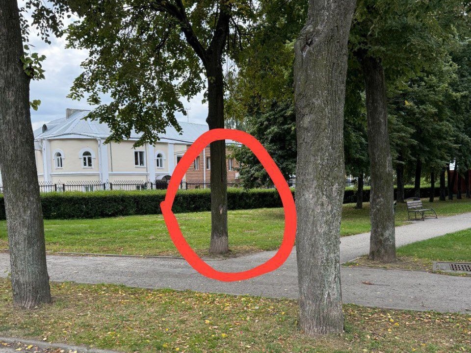    Фото: t.me/pavelmalkov_official