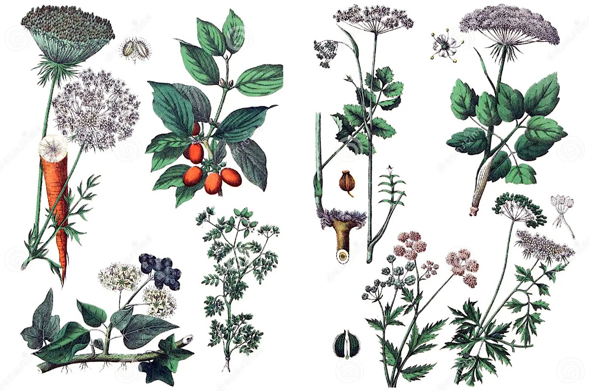 Фото: Иллюстрации заводов иллюстрация штока (G ru.dreamstime.com