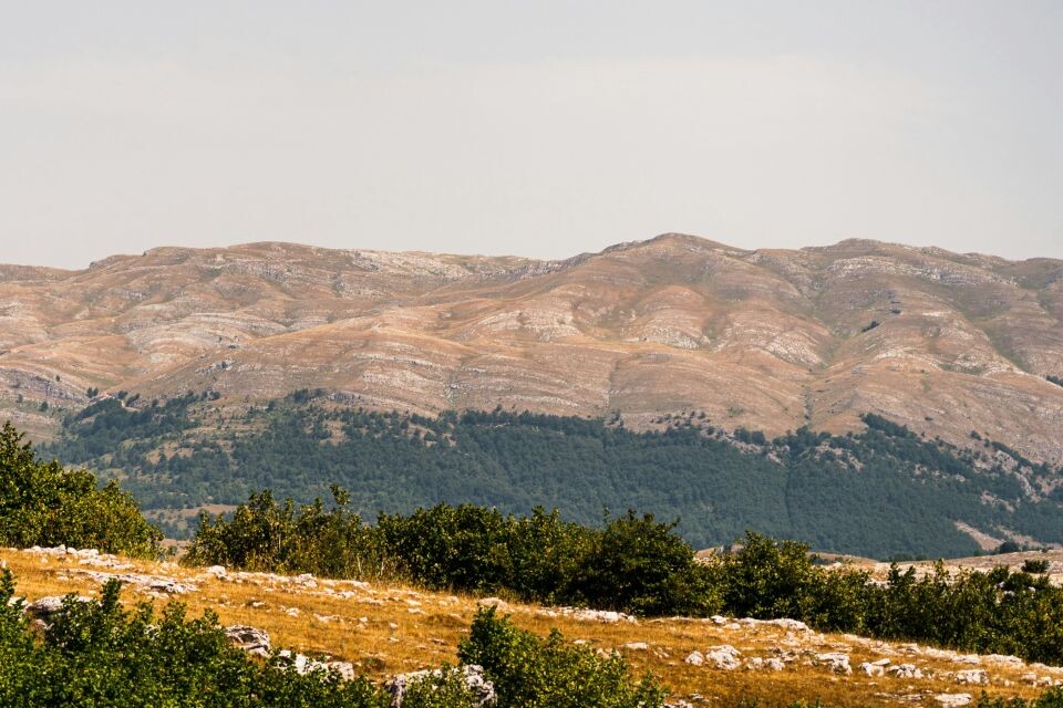    Иордания. Туризм. Источник: Unsplash.com