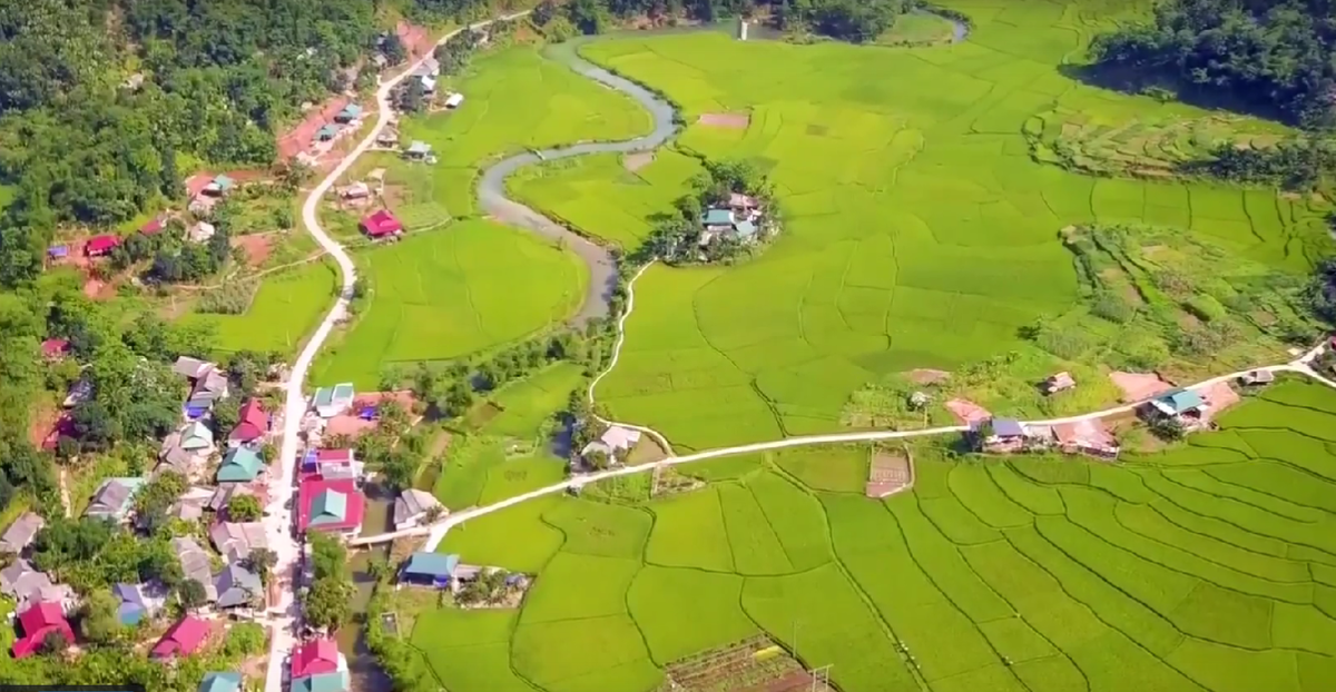 Рисовые террасы