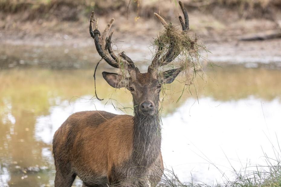    Alex Lentati/Keystone Press Agency/Global Look Press