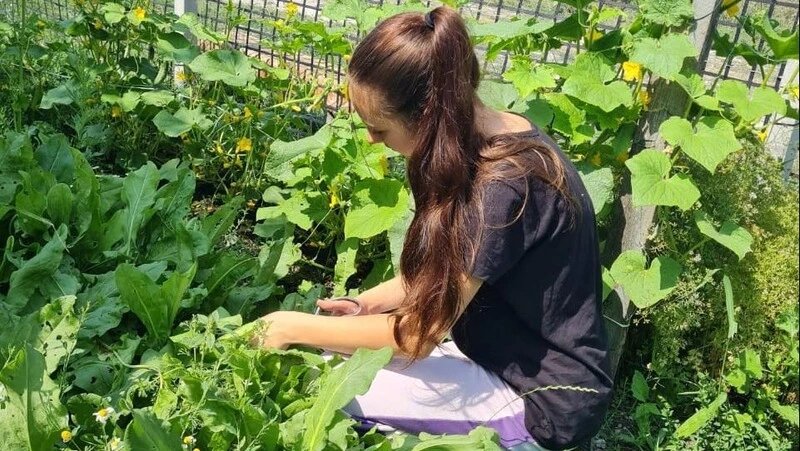      Фото: минсоцзащиты СК