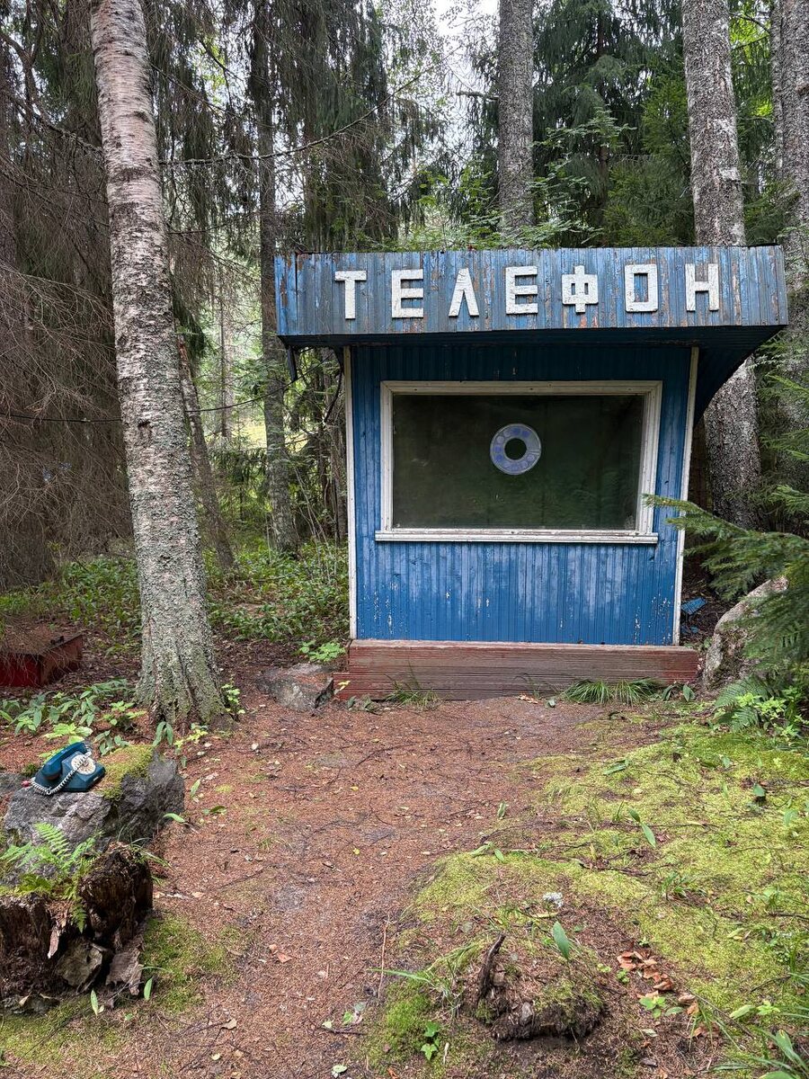 Фотография в режиме реального времени. Остров. Август 2025. https://t.me/tamushta