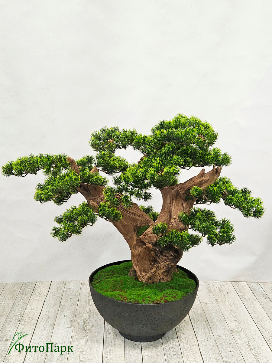 Большой искусственный бонсай на натуральном стволе, изготовление на заказ, стволы не повторяются.