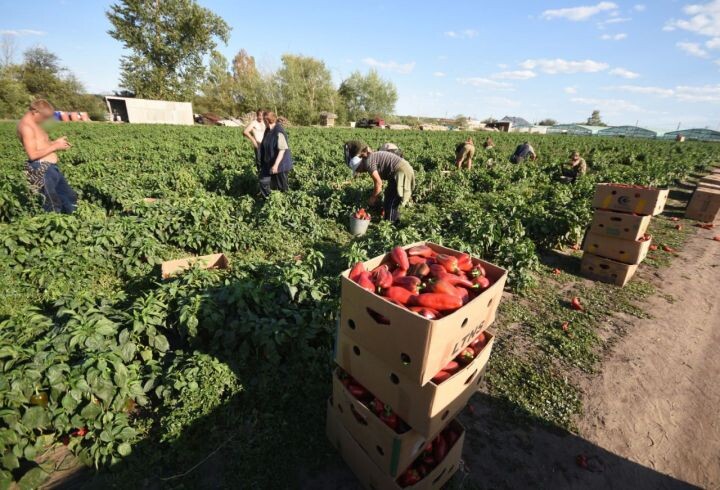    Фото: Игорь Филонов