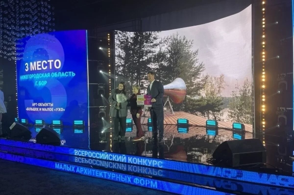    Два нижегородских арт-объекта наградили в конкурсе «Город в деталях»